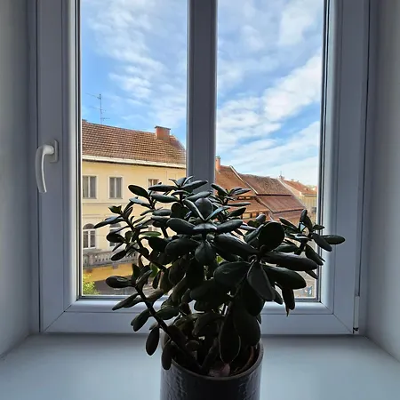 Elegant Teo Touras In Old Town Apartment