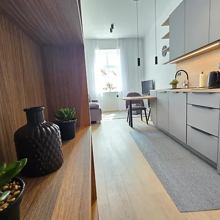 Apartment Elegant Teo Touras In Old Town Ljubljana