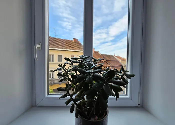 Elegant Teo Touras In Old Town Apartman