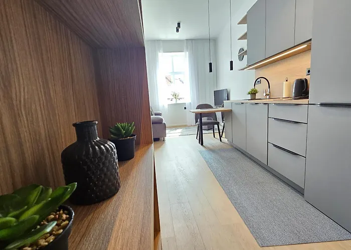 Apartman Elegant Teo Touras In Old Town Ljubljana